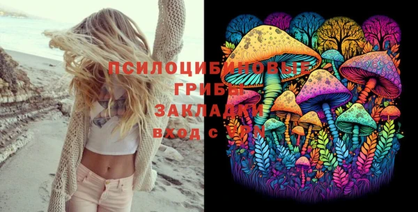 СК Арсеньев