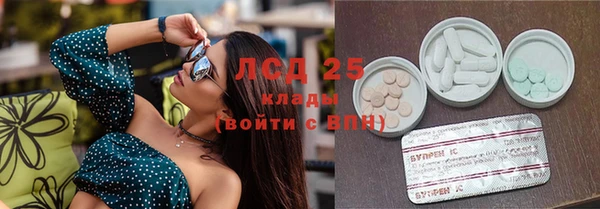 прущие грибы Аркадак