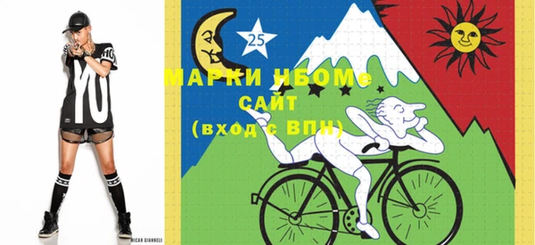 прущие грибы Аркадак