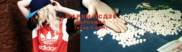 СК Арсеньев