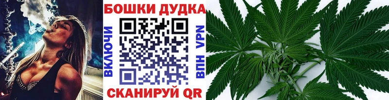 Бошки марихуана планчик Мончегорск